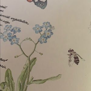 Meet your Posher, Pam